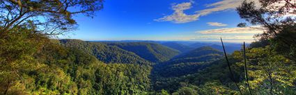 Canyon Lookout - Springbrook National Park - QLD (PB5D 00 3966)